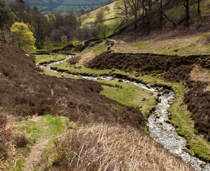 Erosion Control Service