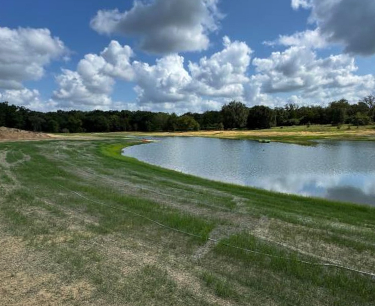 Pond Building Service