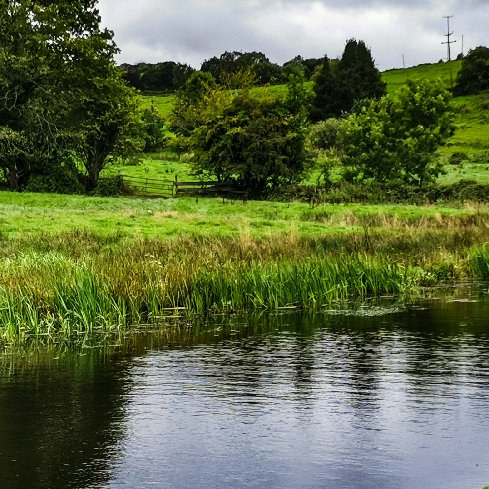 Pond